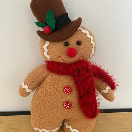 Le Maennele Apartment Straßburg